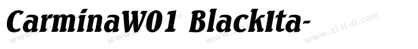 CarminaW01 BlackIta字体转换